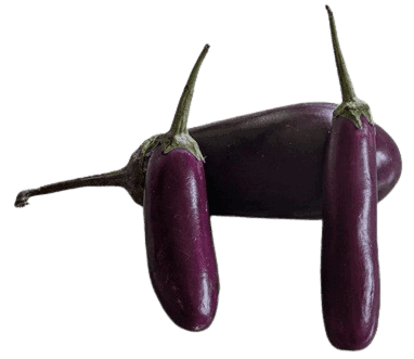 Organic Brinjal/Eggplants, Fresh and Locally Grown, Available Now! view 2