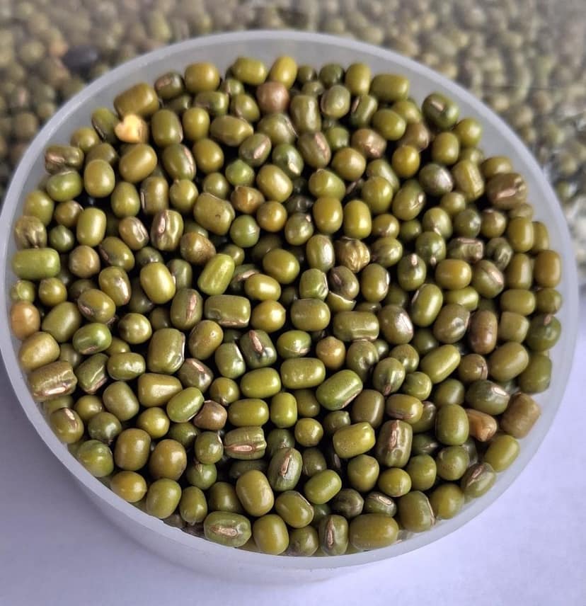JFPCL GREEN MOONG 450 gms view 3