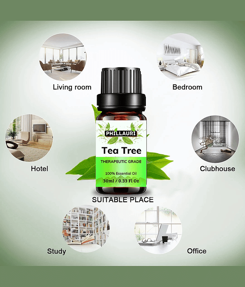 Phillauri Tea Tree Others Essential Oil Fruity With Dropper 30 mL ( Pack of 1 ) view 2
