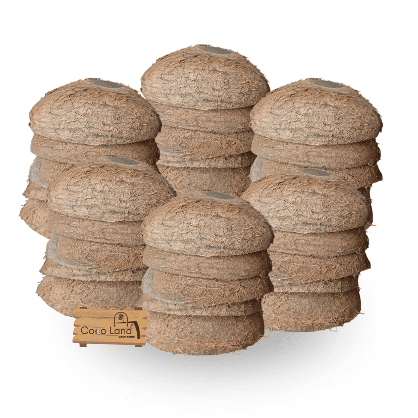 Coco Land Coconut Shell Natural Oval Pot (LARGE SIZE Pack of 30) 250 ml Decorative Pots/Showpieces/Candle Making Bowl /Handicraft/Agro Craft