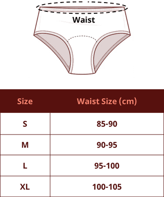 Reusable Period Panty (For Moderate to High Flow)