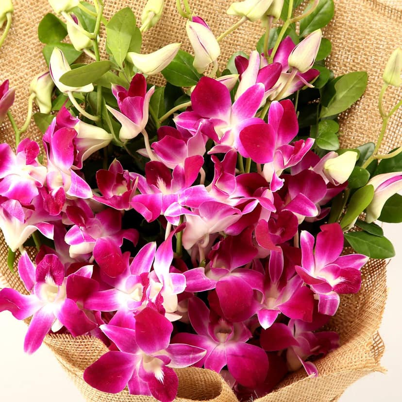 Garden Of Dreams 6 Orchids Bouquet view 2