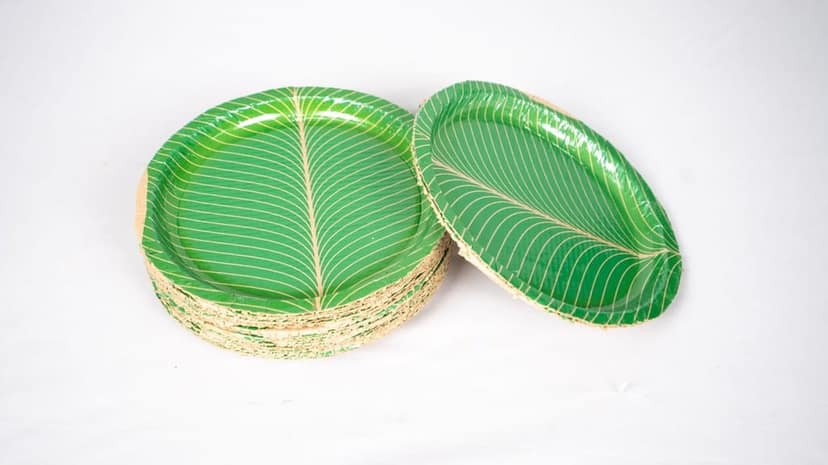 100% Natural Areca Leaf Plates | Disposable and Biodegradable | Pack of 40 (P)