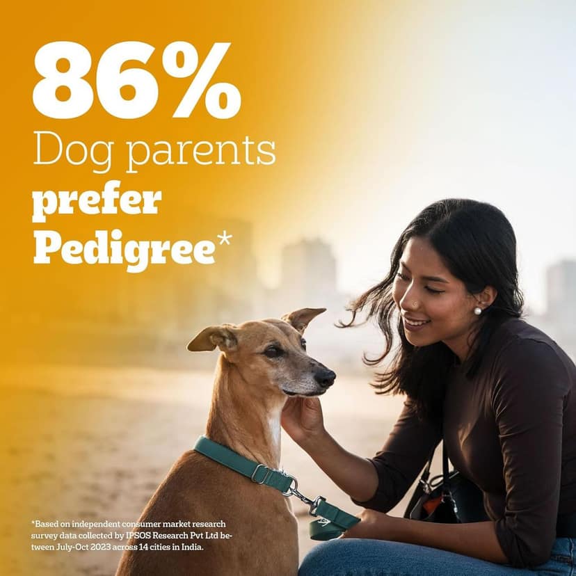 Pedigree Adult Dry Dog Food, Chicken & Vegetable view 7