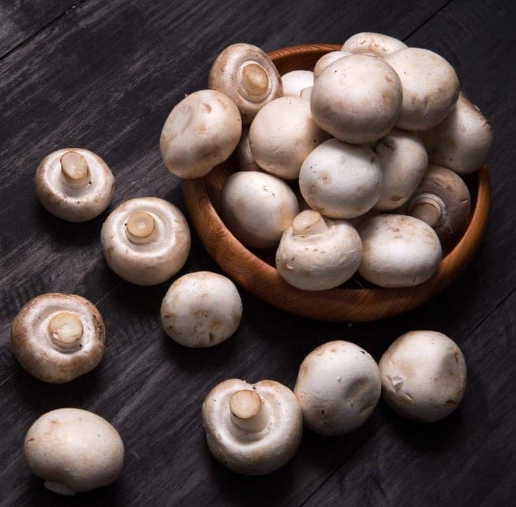 Mushroom view 3