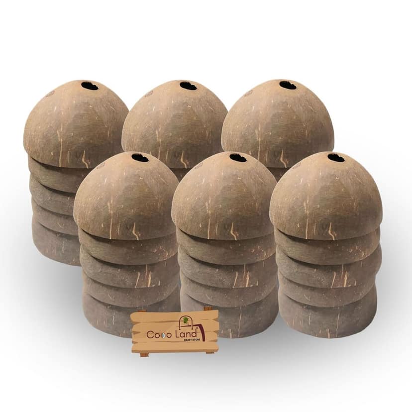 Coco Land Holed Coconut Shell Finished Raw Craft | Decorative Pots,Craft Making | Handicraft,Agricraft