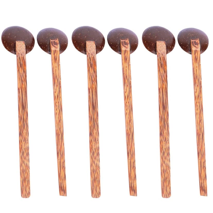 Eco-friendly Handmade Coconut Shell Small spoon (Pack of 6) – Made with Coconut Shell & Coconut Wood