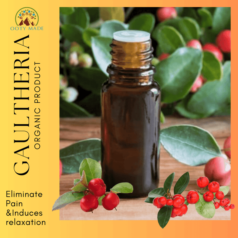 Buy Gaultheria Wintergreen Joint Pain Oil from Nilgiris online view 4