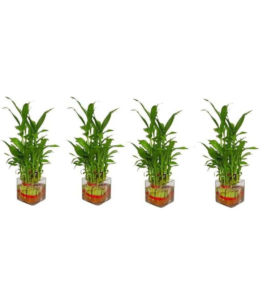 Green plant indoor - Green Wild Artificial Flowers With Pot ( Pack of 4 )