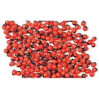 Natural Rakt Gunja Mantra Siddha Laal Chirmi Red Gunja Seeds for Lakshmi Upasna Sadhna Gurivinta Seeds 51 Pcs view 4