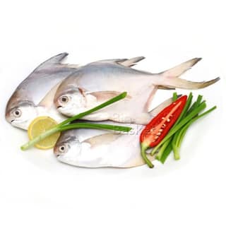 White Pomfret Whole Cleaned 500 Grams