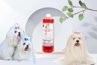 Shampoo Specially Formulated for Strawberry (Maltese 1 Litre)