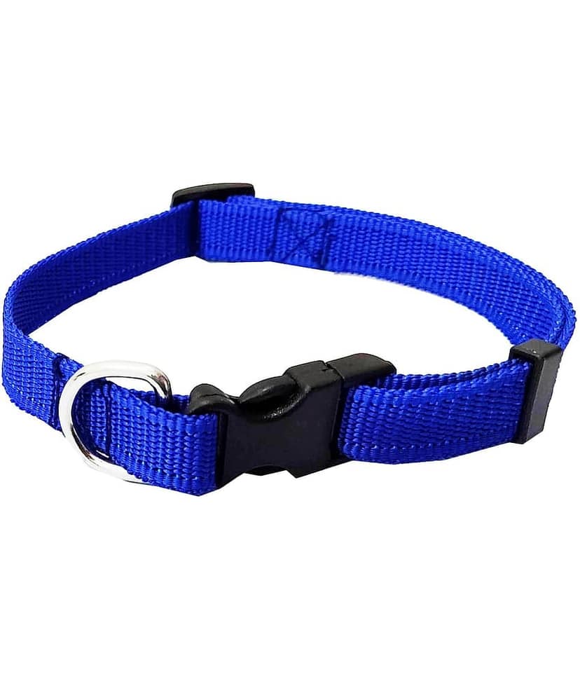 Petshop7 - Red Collar ( Small )