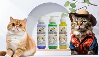 SWACCH Premium Shampoo for American Bobtail (200ML) (Combo Pack of 3) Lavender, NEEM ALOVERA & Lemon