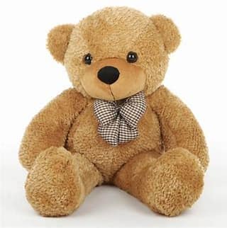 Teddy bear