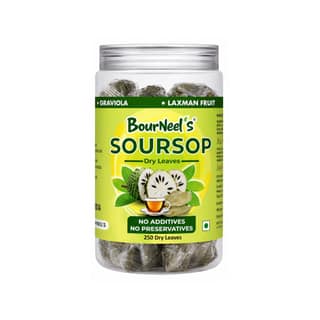 BourNeel's® Soursop Dry Leaves, 250 Loose Leaves |No Preservatives | Healthy Graviola Laxman Phal Dry Leaves | High Vitamin C |Soursop Kadha Tea |