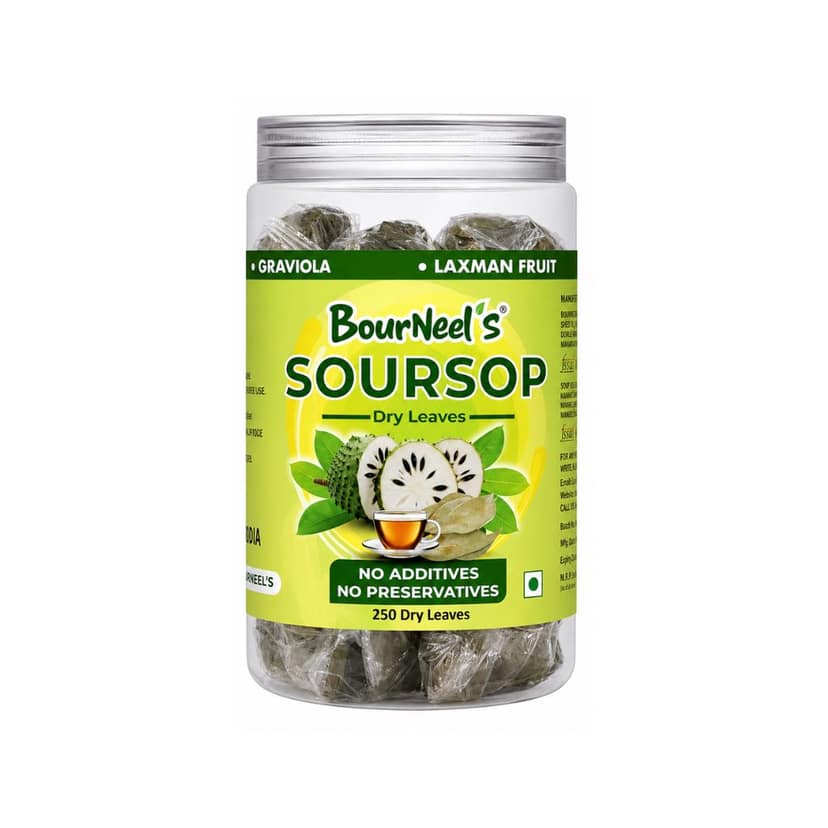 BourNeel's® Soursop Dry Leaves, 250 Loose Leaves |No Preservatives | Healthy Graviola Laxman Phal Dry Leaves | High Vitamin C |Soursop Kadha Tea |