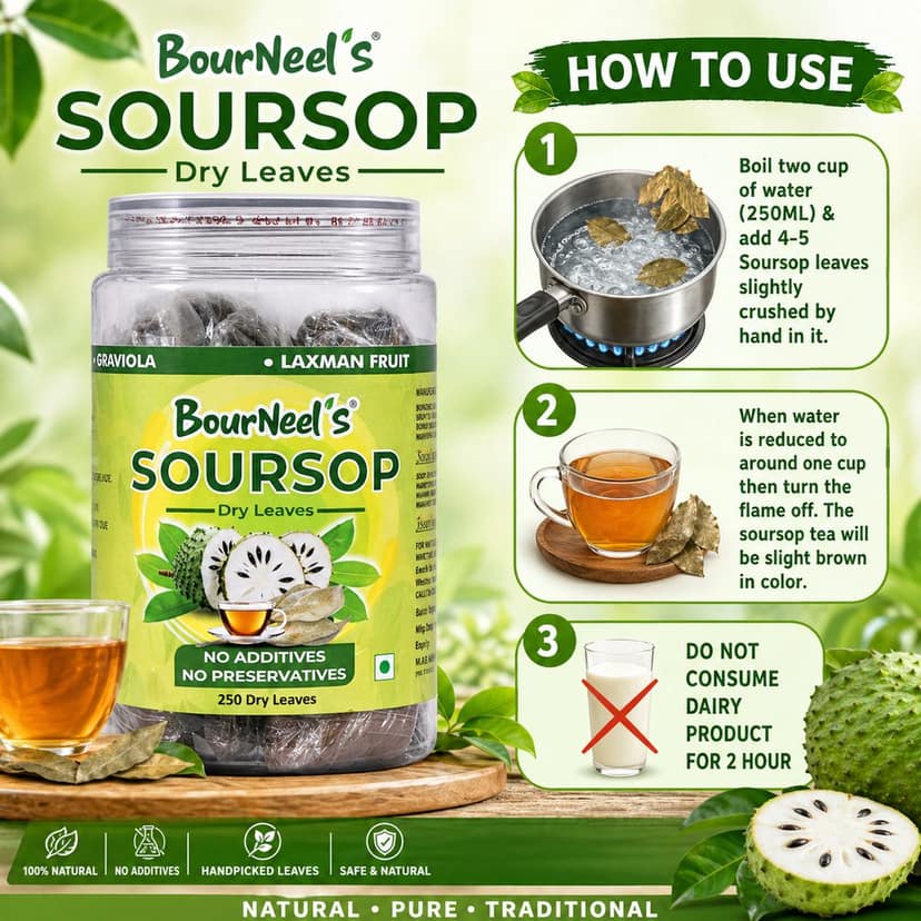 BourNeel's® Soursop Dry Leaves, 250 Loose Leaves |No Preservatives | Healthy Graviola Laxman Phal Dry Leaves | High Vitamin C |Soursop Kadha Tea | view 3