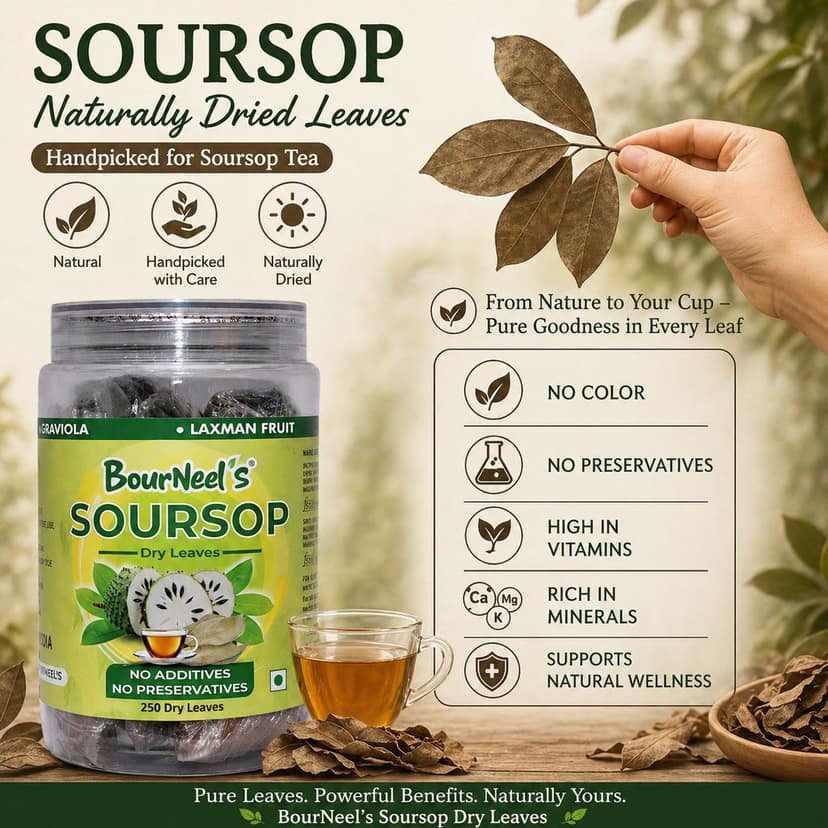 BourNeel's® Soursop Dry Leaves, 250 Loose Leaves |No Preservatives | Healthy Graviola Laxman Phal Dry Leaves | High Vitamin C |Soursop Kadha Tea | view 8