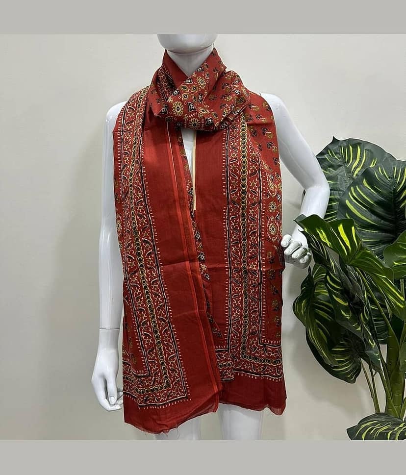 Frionkandy Cotton Women Dupatta ( Multicoloured , Pack of 1 )