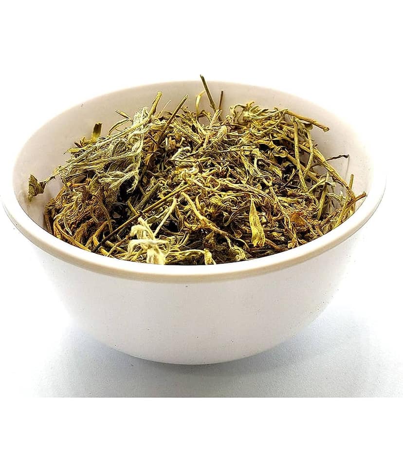 Nutrixia Food Shankhpushpi / शंखपुष्पी / Morning Glory/Convolvulus pluricaulis 100 gm