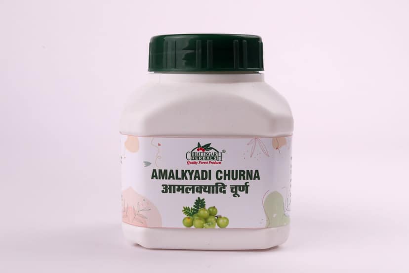 Chhattisgarh Herbals AMLAKYADI CHURN 100 GM