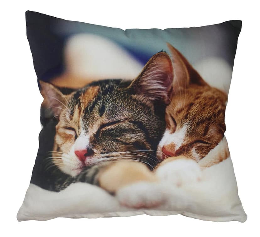 AIRWILL Cotton CAT Design 3D Printed Square Shape Cushions Covers (40x40 cms, Multicolour) - Pack of 5 view 2