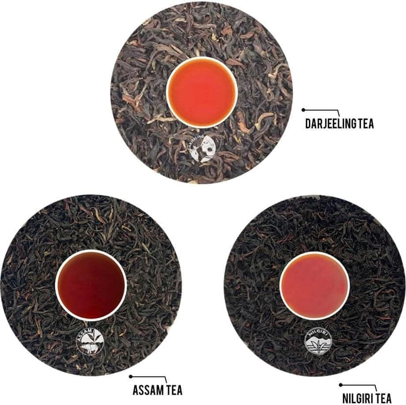 Golden Tips Loose Pure Nilgiri Assam Darjeeling Leaves Black Tea Combo of 3 Brocade Bag (100 Gram each, 50 x 3 cups) view 3