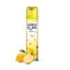 Good Home Room Freshener 160g