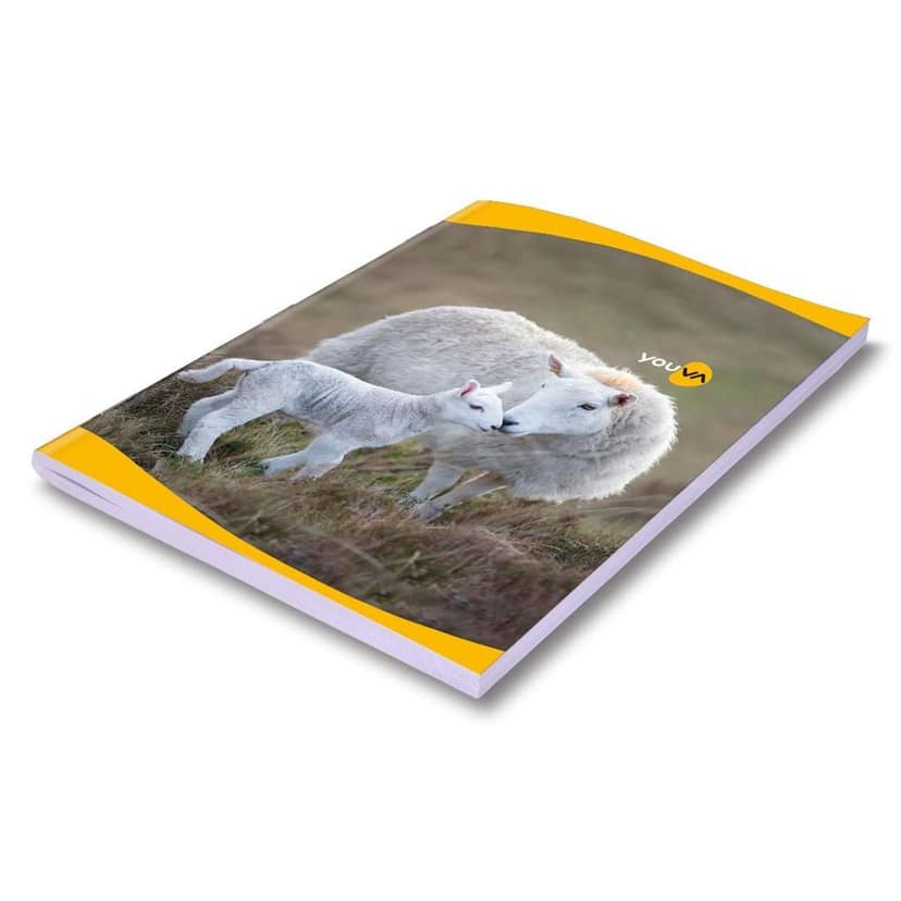 Navneet Youva | Soft Bound Note Book for Students | Jumbo Size 18 cm x 23.5 cm | Unruled | 24 Pages | Pack of 24 view 7