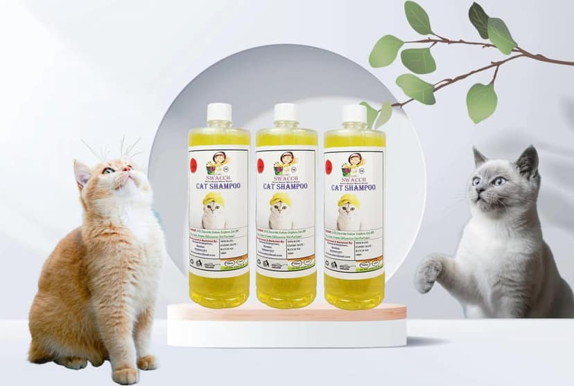 SWACCH CAT Shampoo (1 Litre) (Pack of 3) Lemon