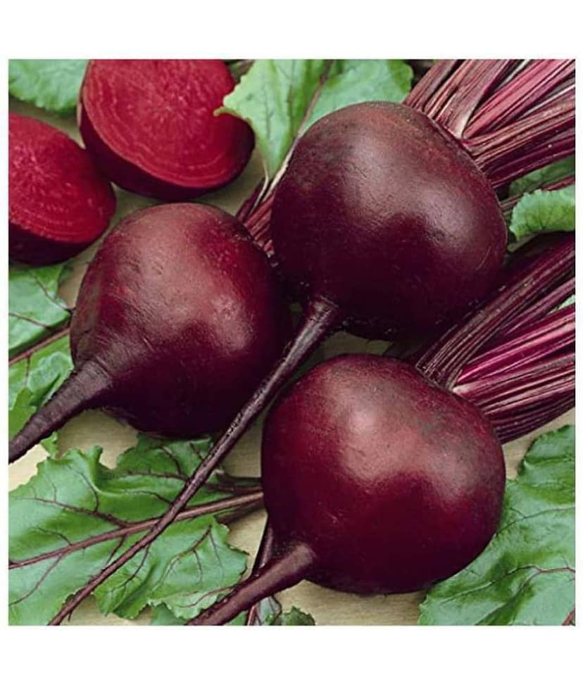 Beetroot Microgreens Organic Vegetable Seeds ( 100 Seeds per packet)