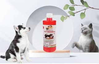 SWACCH PET Shampoo (500ML) Strawberry