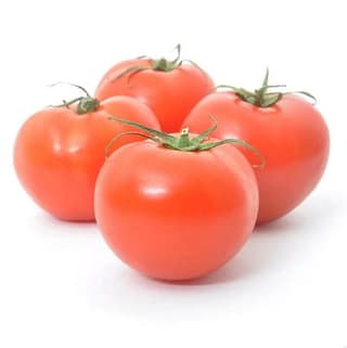 Fresh Tomato