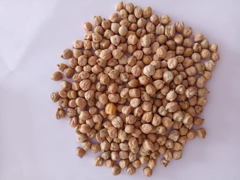 Kabuli Chana 500 gm (pack of 2) view 2