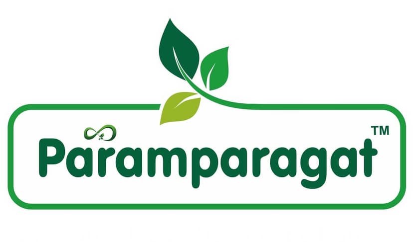Paramparagat Multani Mitti Powder 400g view 7