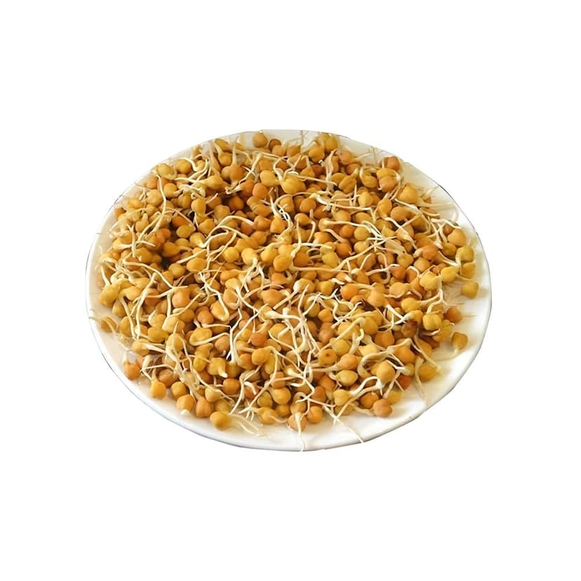 Chana Sprout 1 Pack