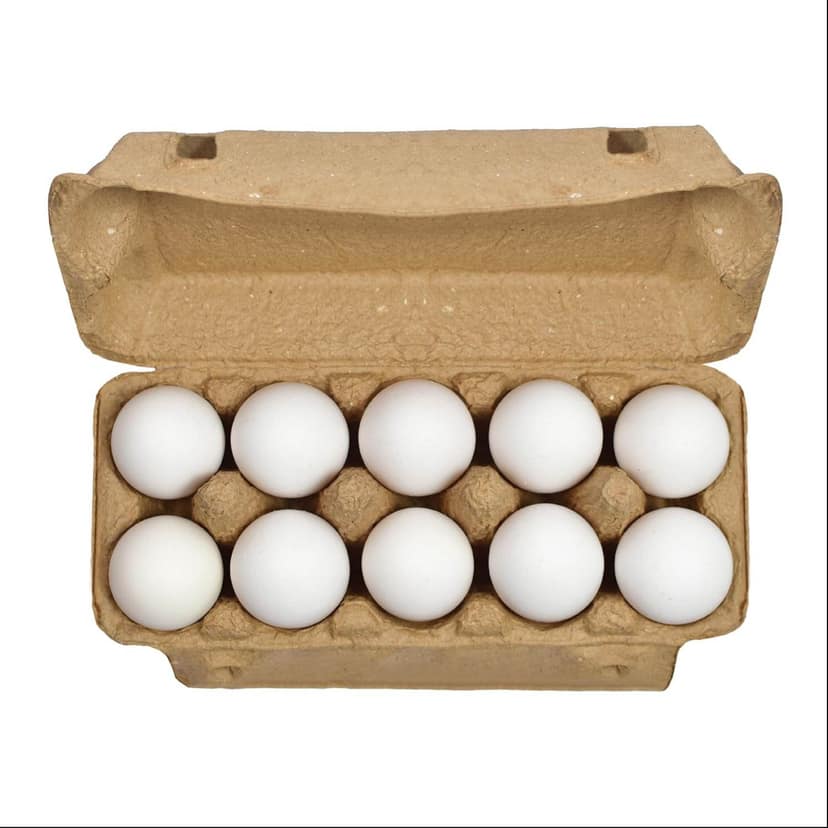 NATURAL EGGS 10EGGS - undefined