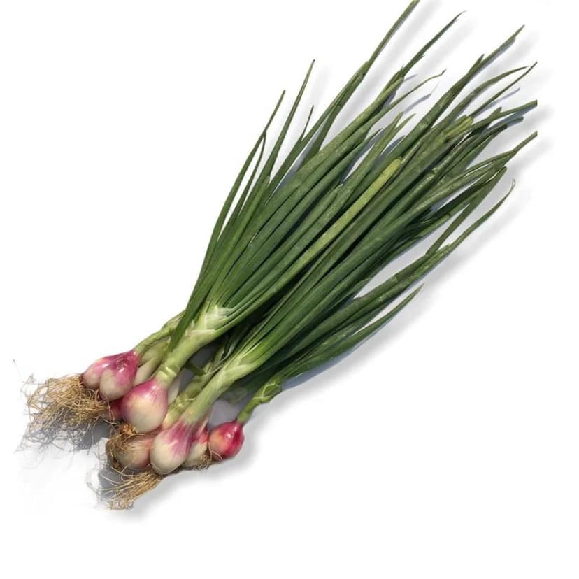 Spring Onion (Hari Pyaz) 150g