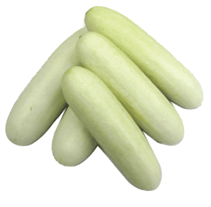 White Cucumber 1 kg