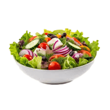 Veg Summer Salad