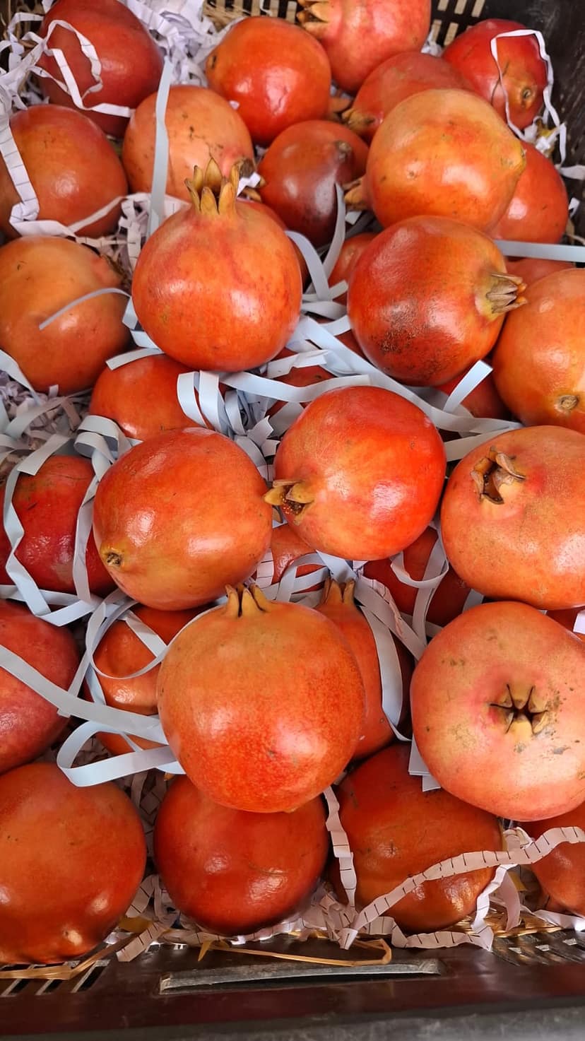 Pomegranate