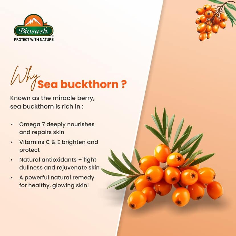Sea Buckthorn Face Pack – Natural Deep Cleansing & Rejuvenating Face Mask with Organic Sea Buckthorn Oil, Antioxidants & Vitamins – 50g view 5
