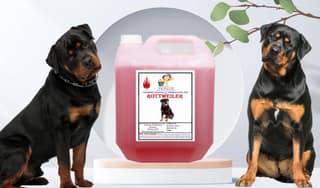 Swacch Shampoo Specially Formulated for Rottweiler (10 Litre) Jasmine