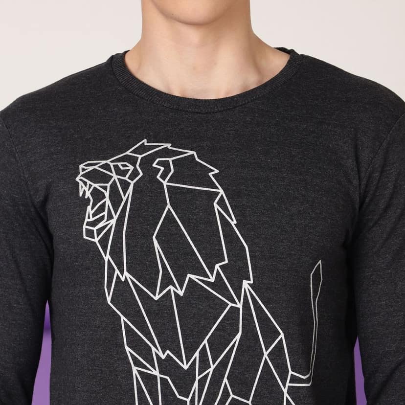 FTX Men Round Neck Printed Full sleeves Tshirt view 4