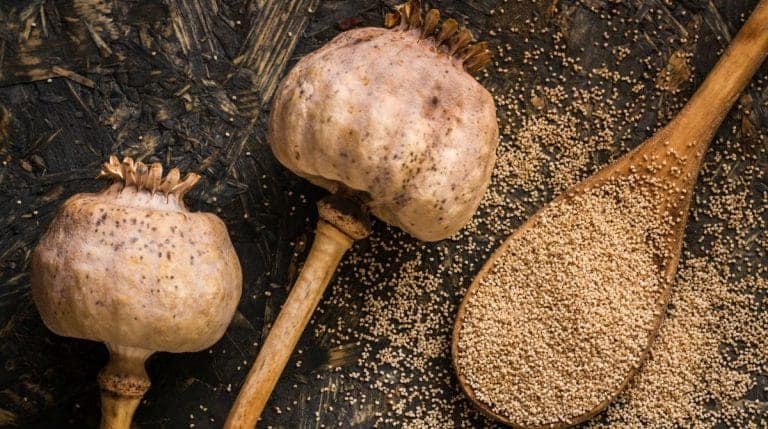 Khas Khas | Khus Khus | Posto dana | Poppy Seeds (Authentic product - direct from farm) view 3