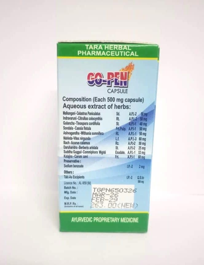 GOPEN CAPSULE view 2