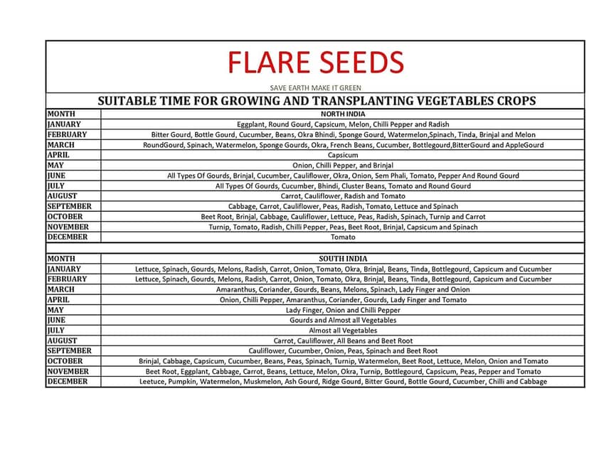 FLARE SEEDS 40 Variety of Vegetables Seeds (2000+ Seeds) view 3