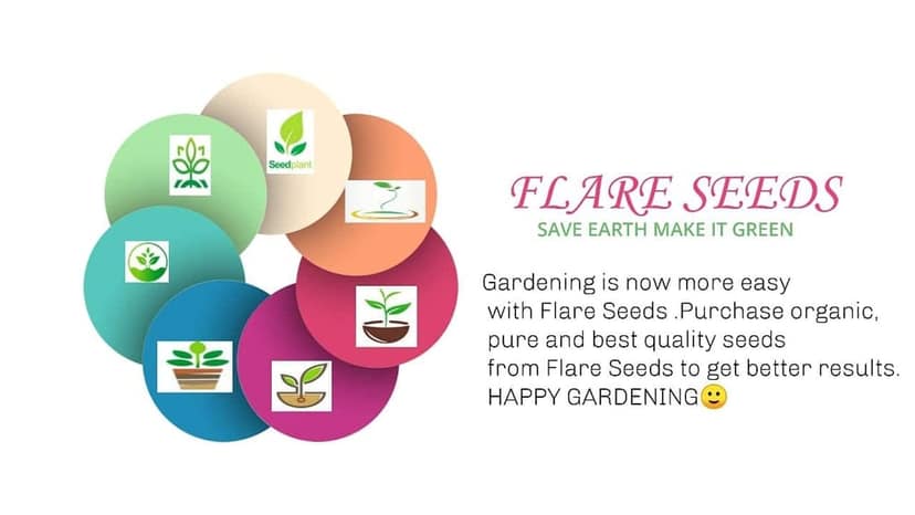 FLARE SEEDS 40 Variety of Vegetables Seeds (2000+ Seeds) view 5