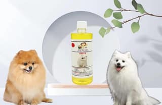 Swacch Shampoo Specially Formulated for Spitz (500ML) Lemon